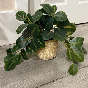 Lush Faux Greenery in Textured Basket